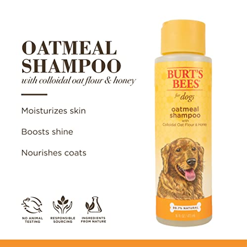 Burt's Bees for Pets Oatmeal Dog Shampoo | With Colloidal Oat Flour & Honey | Moisturizing & Nourishing, Cruelty Free, Sulfate & Paraben Free, pH Balanced for Dogs - Made in USA, 16 Oz