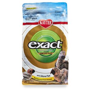 kaytee exact hand feeding high fat formula pet bird baby food for parrots, parakeets, lovebirds, cockatiels, conures, cockatoos, and macaws, 5 pound