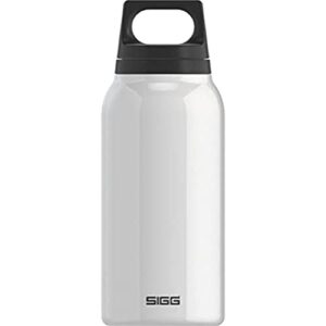 sigg classic thermo 0.3-liter water bottle with tea filter, white,8448