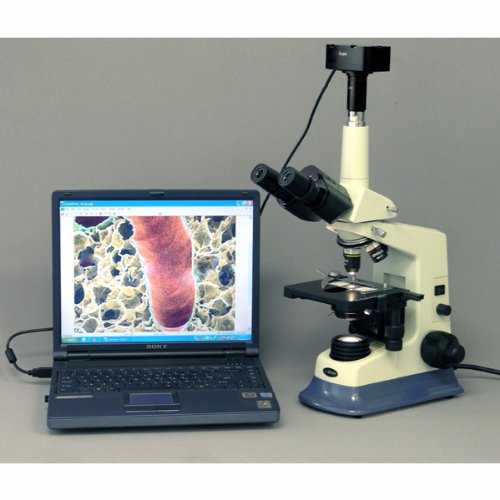 40X-1600X Doctor Vet Lab Compound Microscope + 10MA USB Camera Windows & Mac OS