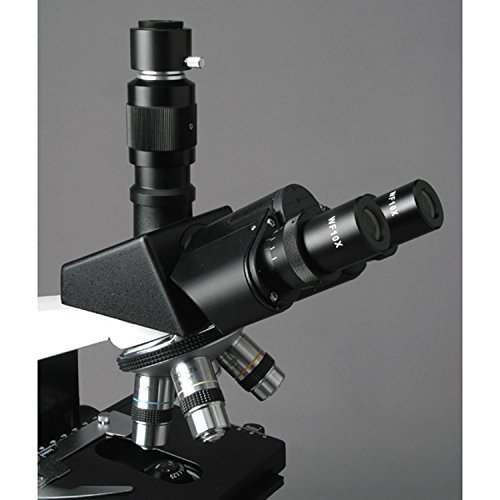 AmScope T490 Compound Trinocular Microscope, WF10x Eyepieces, 40X-1000X Magnification, Brightfield, Halogen Illumination, Abbe Condenser, Double-Layer Mechanical Stage, Sliding Head, High-Resolution Optics