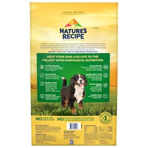 Nature’s Recipe Large Breed Grain Free Chicken, Sweet Potato & Pumpkin Recipe, Dry Dog Food, 24 Pounds (Packaging May Vary)