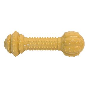 Nylabone Barbell Power Chew Durable Dog Toy Medium up to 35 lbs.