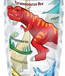 Tervis Made in USA Double Walled Dinosaurs Insulated Tumbler Cup Keeps Drinks Cold & Hot, 10oz Wavy, Clear