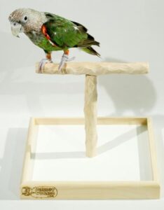 deluxe tabletop nu perch - parrot t perch stand