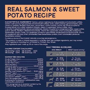 Canidae Pure Real Salmon & Sweet Potato Recipe Adult Dry Dog 22 LB