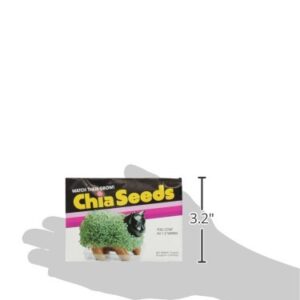 Chia Seed Pack, 3 Count(Chia pet not Included)