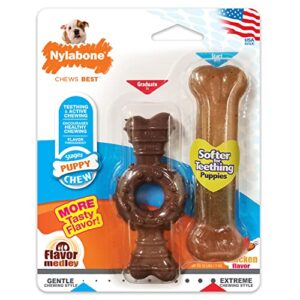 nylabone puppy chew toy twin pack - puppy chew toys for teething - puppy supplies - medley & chicken flavor, x-small/petite (2 count)
