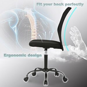 Ergonomic Office Chair Desk Chair Mesh Computer Chair Back Support Modern Executive Mid Back Rolling Swivel Chair for Women, Men (Black)