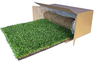 doggielawn dog potty - real grass - xlarge 24x48 inches
