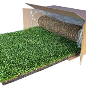 DoggieLawn Dog Potty - Real Grass - XLarge 24x48 inches