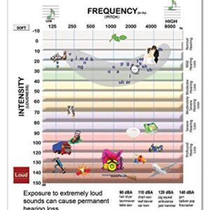 Audiogram Anatomical Chart Laminated Card for Audiologist and Hearing