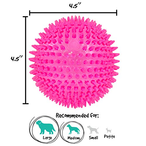 Gnawsome™ 4.5” Spiky Squeaker Ball Dog Toy - Extra Large, Cleans Teeth and Promotes Good Dental and Gum Health for Your Pet, Colors will vary, 4.5&quot