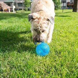 Gnawsome™ 4.5” Spiky Squeaker Ball Dog Toy - Extra Large, Cleans Teeth and Promotes Good Dental and Gum Health for Your Pet, Colors will vary, 4.5&quot