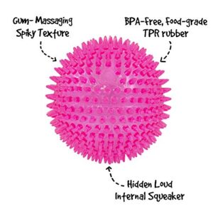 Gnawsome™ 4.5” Spiky Squeaker Ball Dog Toy - Extra Large, Cleans Teeth and Promotes Good Dental and Gum Health for Your Pet, Colors will vary, 4.5&quot