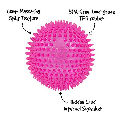 Gnawsome™ 4.5” Spiky Squeaker Ball Dog Toy - Extra Large, Cleans Teeth and Promotes Good Dental and Gum Health for Your Pet, Colors will vary, 4.5&quot