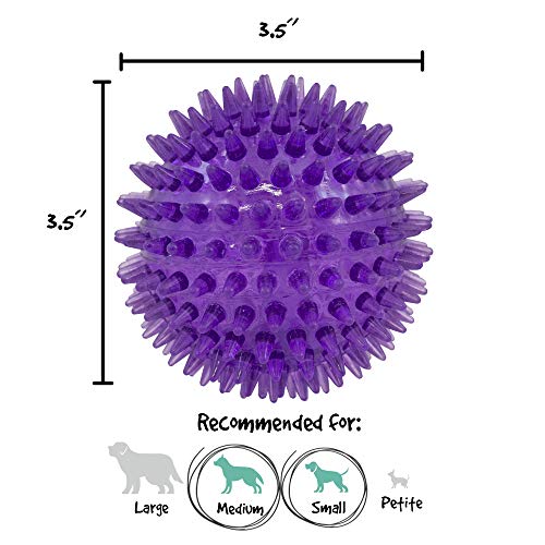 Gnawsome Medium Squeaker Ball Dog Toy, Medium 3.5", Colors will vary, All Breed Sizes