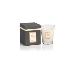 zodax illuminaria collection scented candle small glass jar in gift box (capri) - 340 gr/12 oz