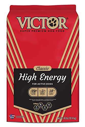 Victor Super Premium Dog Food – High Energy Dry Dog Food for Active Dogs – Gluten Free Dog Food with Beef and Chicken Meal Proteins for Sporting Dogs – All Breeds and All Life Stages, 40 lb