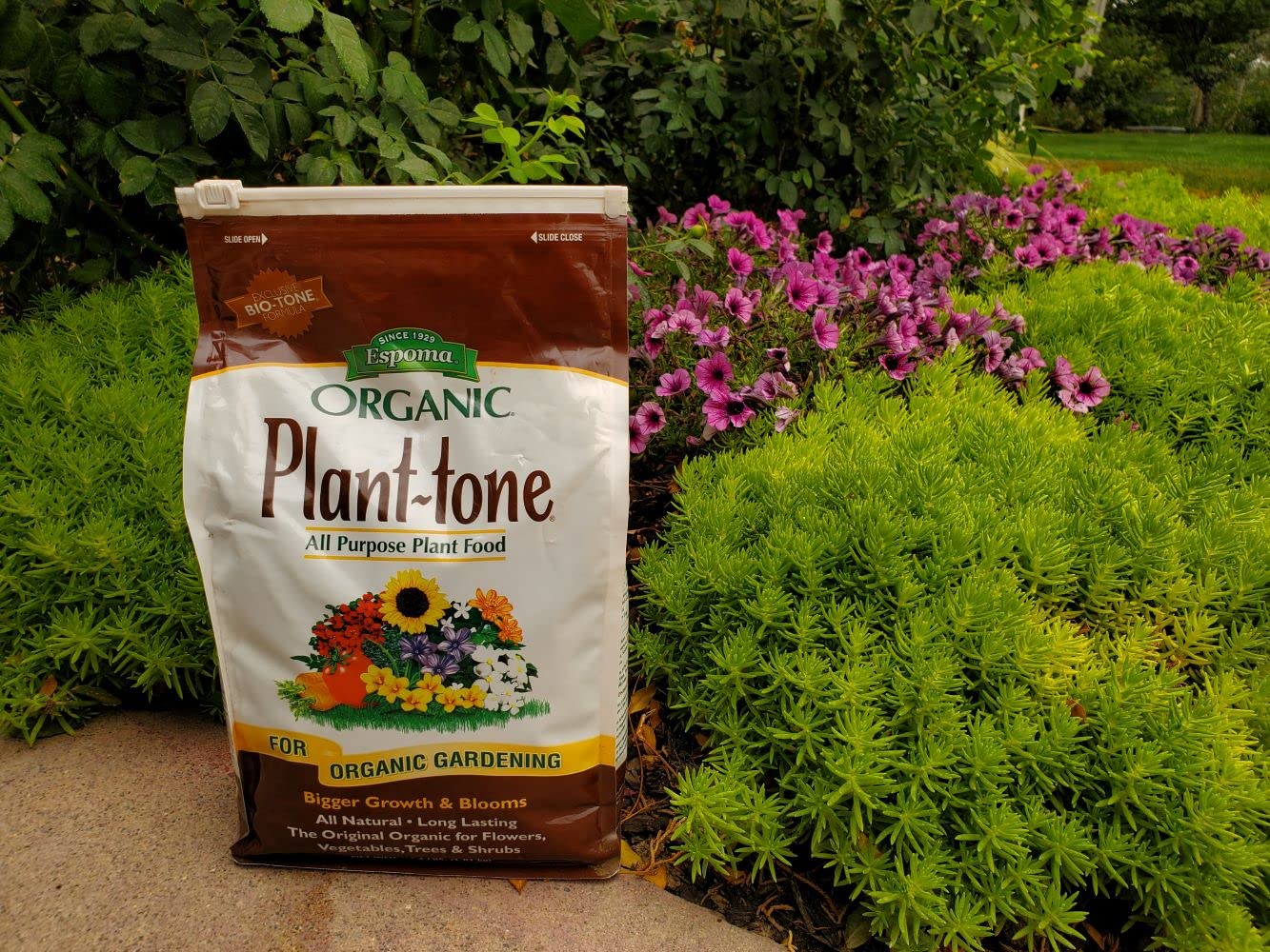 Espoma Organic Plant-Tone 5-3-3 Natural & Organic All Purpose Plant Food;18 lb. Bag; The Original Organic Fertilizer for All Flowers, Vegetables, Trees, and Shrubs.