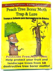 peach tree borer & clearwing moth trap (2 pack, 8 week)