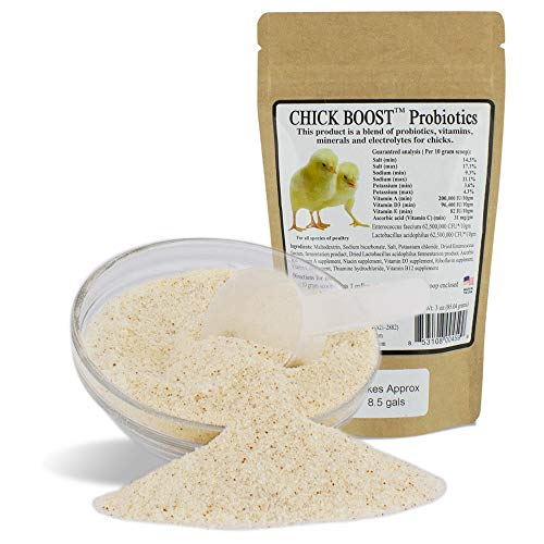 Animal Health Solutions - Chick Boost Probiotics, Help Boost Immunity in Newly Hatched Chicks (8 ounces)