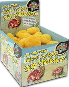 zoo med hermit crab sea sponge
