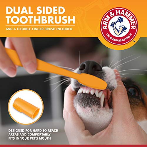 Arm & Hammer for Pets Clinical Care Dental Gum Health Kit for Dogs | Contains Toothpaste, Toothbrush & Fingerbrush | Soothes Inflamed Gums, 3-Piece Kit, Chicken Flavor