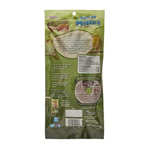 F.M. Brown's Tropical Carnival, Natural Spray Millet, Daily Natural Foraging Treat for Seed-Eating Birds, Sun-Cured and Preservative Free, 4 oz Bag (7 Pack)