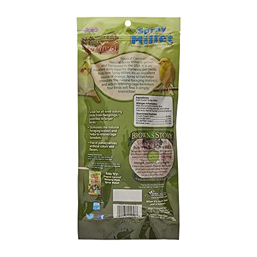 F.M. Brown's Tropical Carnival, Natural Spray Millet, Daily Natural Foraging Treat for Seed-Eating Birds, Sun-Cured and Preservative Free, 4 oz Bag (7 Pack)