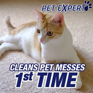 Resolve Pet Expert Carpet & Upholstery Cleaner - Removes Stains and Odors, 22 oz