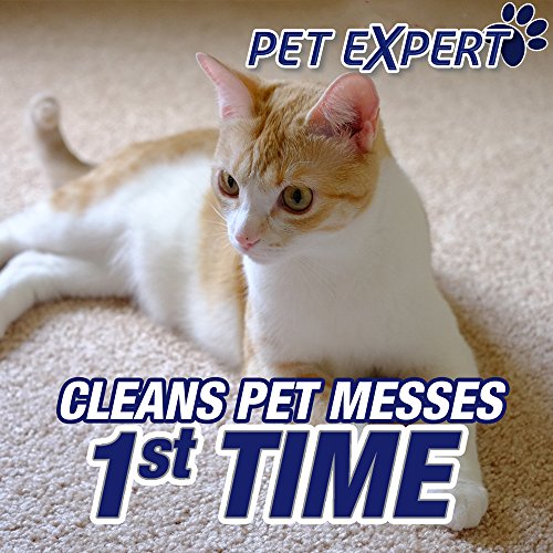 Resolve Pet Expert Carpet & Upholstery Cleaner - Removes Stains and Odors, 22 oz