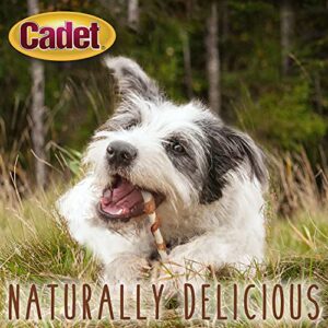 Cadet Gourmet Beef Hide & Chicken Twists Dog Treats - Healthy & Natural Rawhide & Chicken Dog Treats for Small & Large Dogs - Inspected & Tested in USA, 5 In. (50 Count)