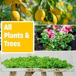 Humboldts Secret Golden Tree: Best Plant Food for Plants & Trees - All-in-One Concentrated Additive - Vegetables, Flowers, Fruits, Lawns, Roses, Tomatoes & More (16 Ounce)