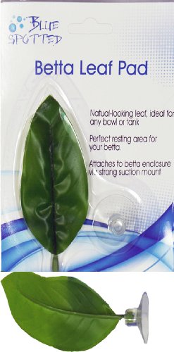 Blue Spotted Betta Plant Leaf Pad for Betta Fish, Tropical Fish Aquariums & Saltwater Fish Aquariums