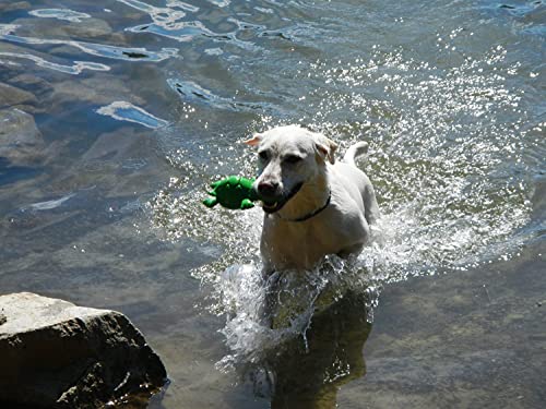 Cycle Dog 3-Play Hippo Dog Toy, Ecolast Post Consumer Recycled Material, Fuchsia