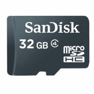 SanDisk 4GB microSDHC Flash Memory Card SDSDQ-004G (Bulk Packaging)