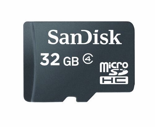 SanDisk 4GB microSDHC Flash Memory Card SDSDQ-004G (Bulk Packaging)