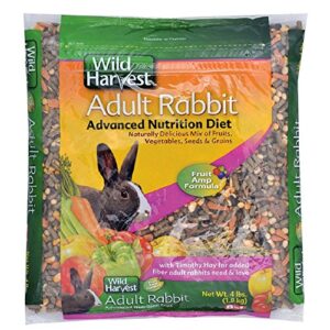 wild harvest advanced nutrition diet for adult rabbits