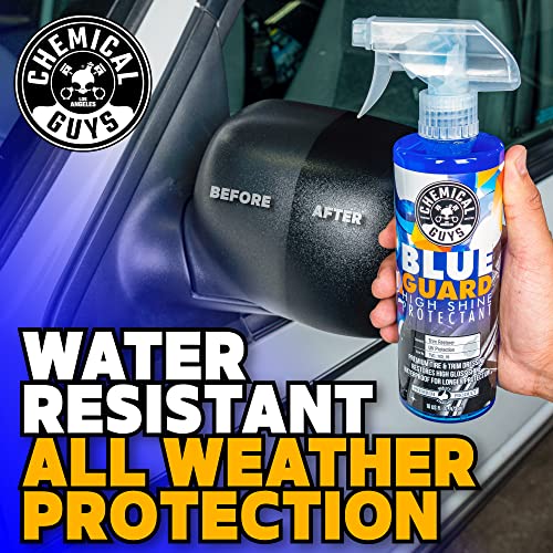 Chemical Guys TVD_103_16 Blue Guard II Wet Look Premium Sprayable High Gloss Shine Dressing and Conditioner for Rubber and Plastic Safe for Cars, Trucks, Motorcycles, RVs & More, 16 fl oz