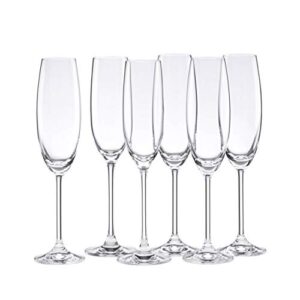 lenox tuscany classics set, champagne flutes, buy 4, get 6, 6 count (pack of 1), clear,8 ounces.
