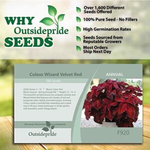 Outsidepride Coleus Wizard Velvet Red Indoor or Outdoor House or Container Plant Seed - 100 Seeds