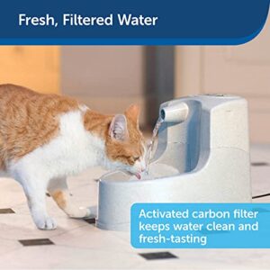 PetSafe Drinkwell Mini Pet Fountain for Cats & Small Dogs- Water Filter Included- Flowing Dispenser Encourages Hydration- Adjustable Knob Enables Water Flow Customization- Perfect for Small Spaces