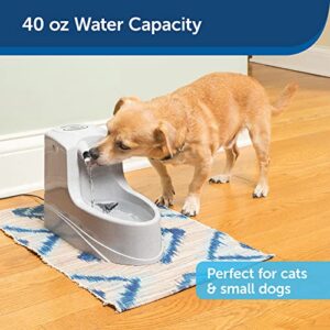 PetSafe Drinkwell Mini Pet Fountain for Cats & Small Dogs- Water Filter Included- Flowing Dispenser Encourages Hydration- Adjustable Knob Enables Water Flow Customization- Perfect for Small Spaces