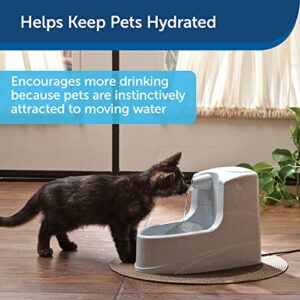 PetSafe Drinkwell Mini Pet Fountain for Cats & Small Dogs- Water Filter Included- Flowing Dispenser Encourages Hydration- Adjustable Knob Enables Water Flow Customization- Perfect for Small Spaces
