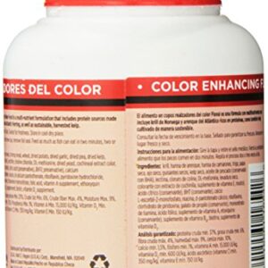 Fluval Color Enhancing Flakes Fish Food 35gm, 1.23-Ounce