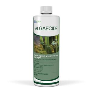 Aquascape 96024 Algaecide Treatment for Koi Fish Ponds and Water Gardens, 32 Ounces, Clear