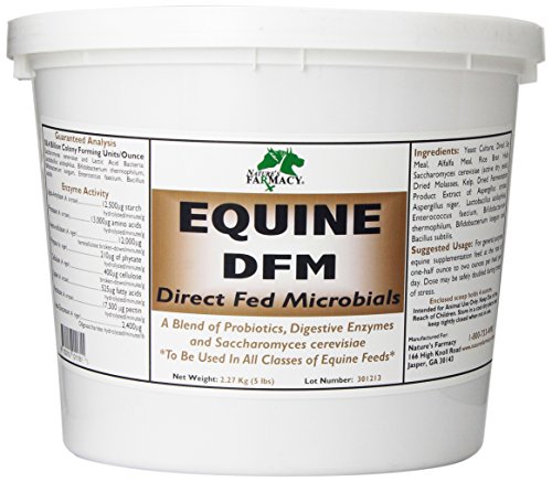 Nature's Farmacy Equine DFM (Direct Fed Microbial) Live Probiotics, Enzymes 50 Billion CFU Ounce