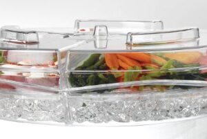 Prodyne Appetizers On Ice with Lids, 16", Clear