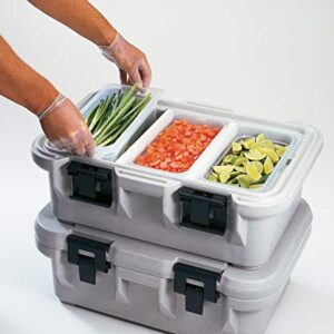 Cambro (36PP190) Third-Size Translucent Food Pan